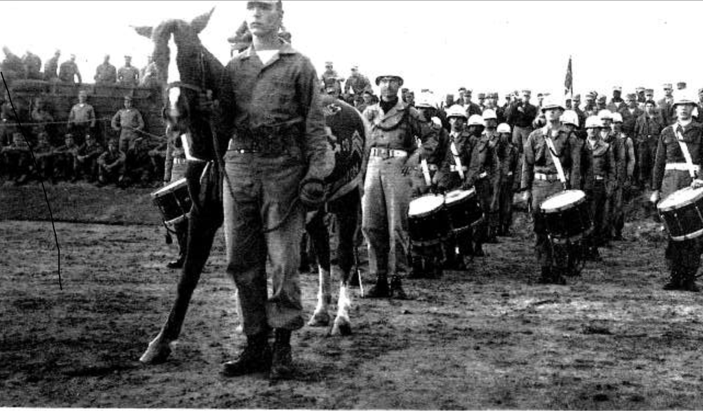 Sergeant Reckless Korean War Horse Served with Valor